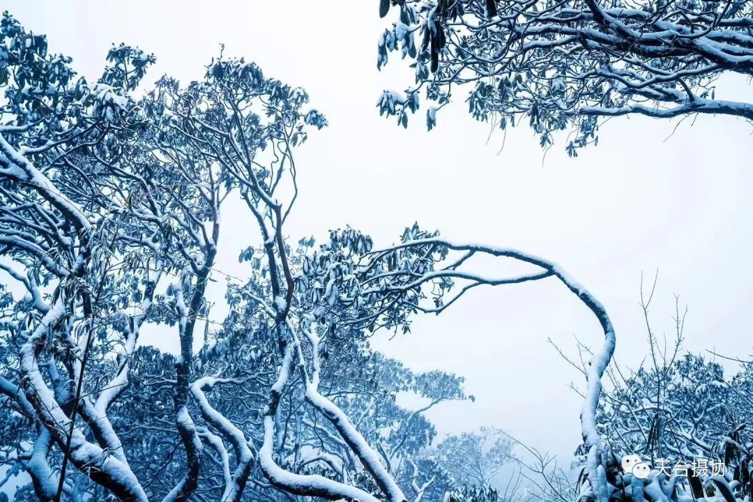 许琼|快看,又下雪了!