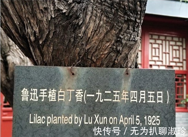 信子&新材料:鲁迅与亲弟为何决裂?“夜半听房”4字,让他蒙冤77年