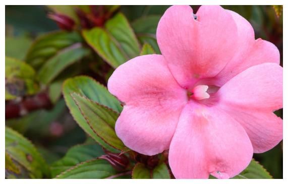 5月8日开始 4属相吉星照耀 事业进步 升职加薪 生活富足无忧 全网搜