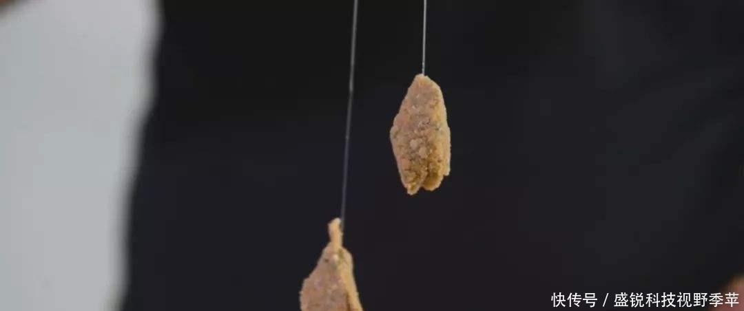 麦穗鱼|夏季钓鱼,面对小鱼大军的攻城略地,为何有些钓友输得很惨