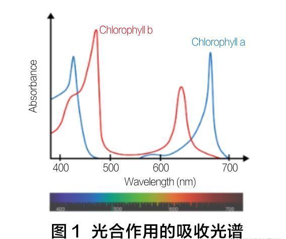 温室大棚的补光系统 推荐这三款光照样式 快资讯