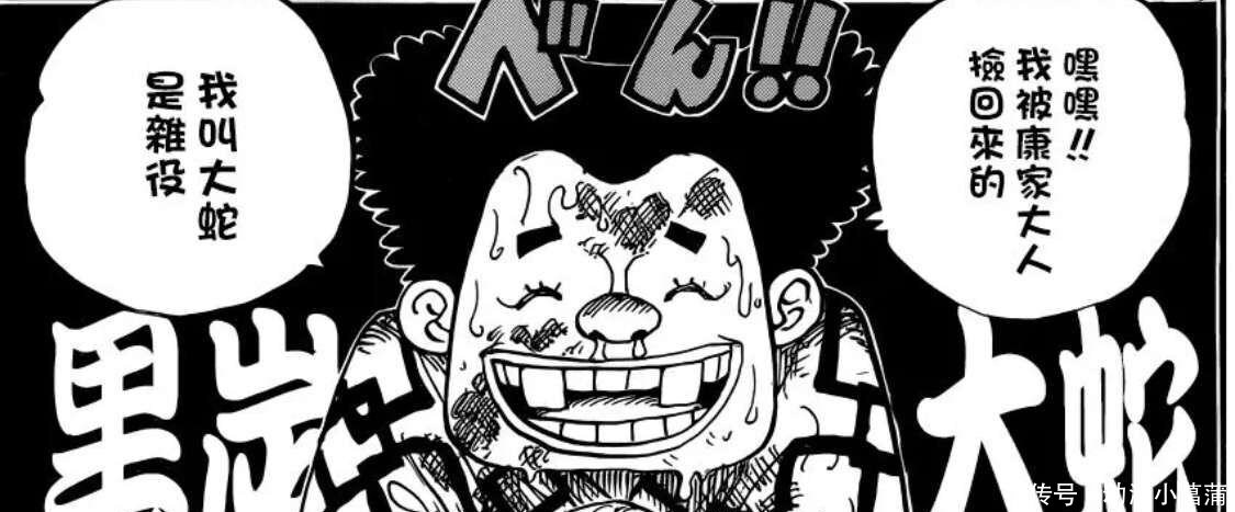 大妈|海贼王962情报:小菊男儿身又实锤,年轻大妈露脸,和女帝谁更美