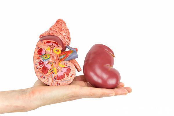 尿毒症|医生:这6种疾病不能拖,或发展为尿毒症,需引起重视