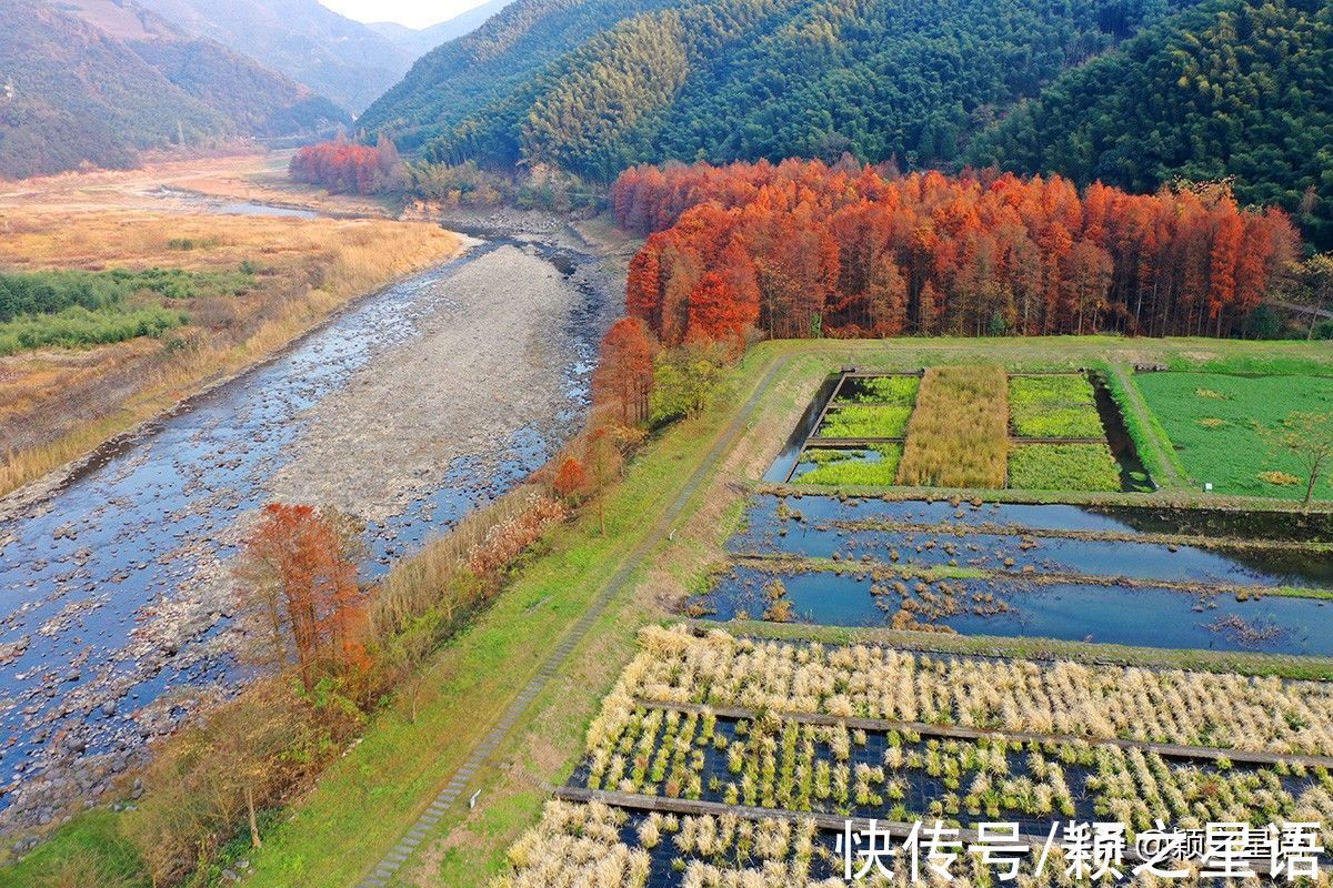 尽头|最佳红杉林游访线路，全程六站，线路仅供收藏