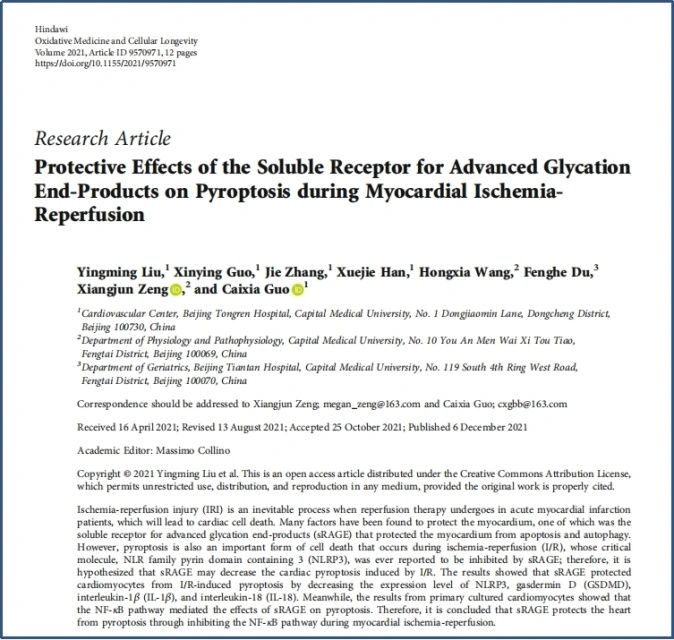 研究成果|北京同仁医院心血管中心郭彩霞教授团队发表关于心肌缺血再灌注损伤最新研究成果