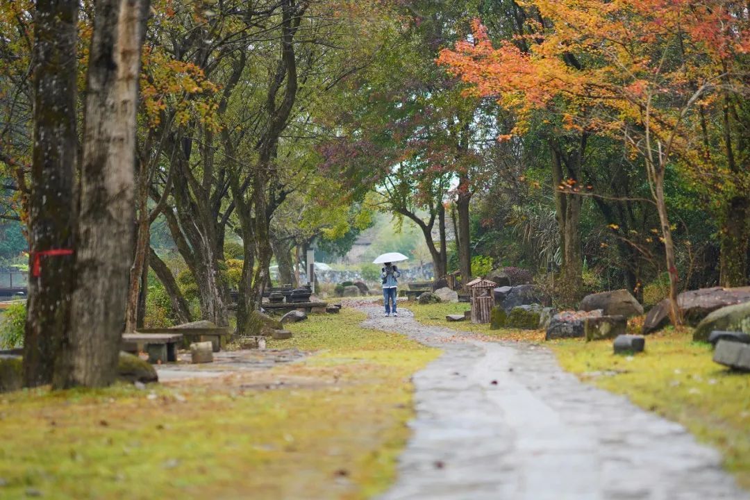 徽派|一座搬来的古村，20余栋几近坍塌的徽派民居，拼成了黟县画里乡村