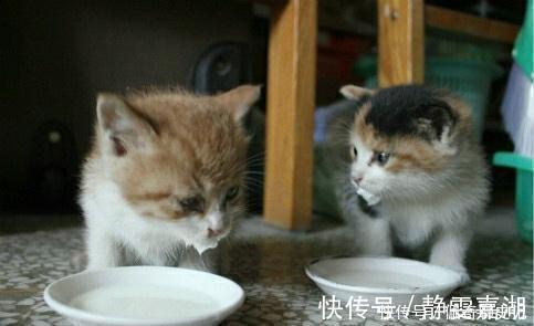 |幽默笑话:陪死党去相亲,双方一见面,我和死党都愣住