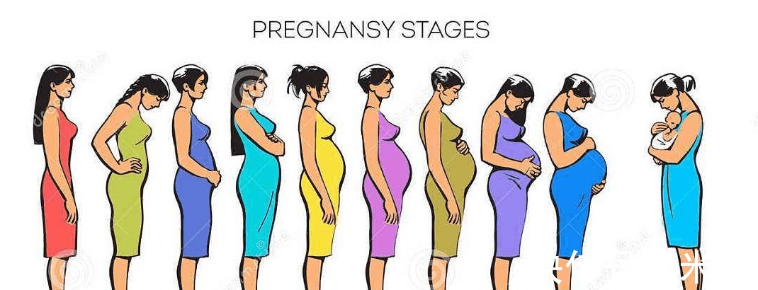 妈妈们|孕9月、孕10月胎儿有什么区别 快要生产的妈妈们快了解一下吧!