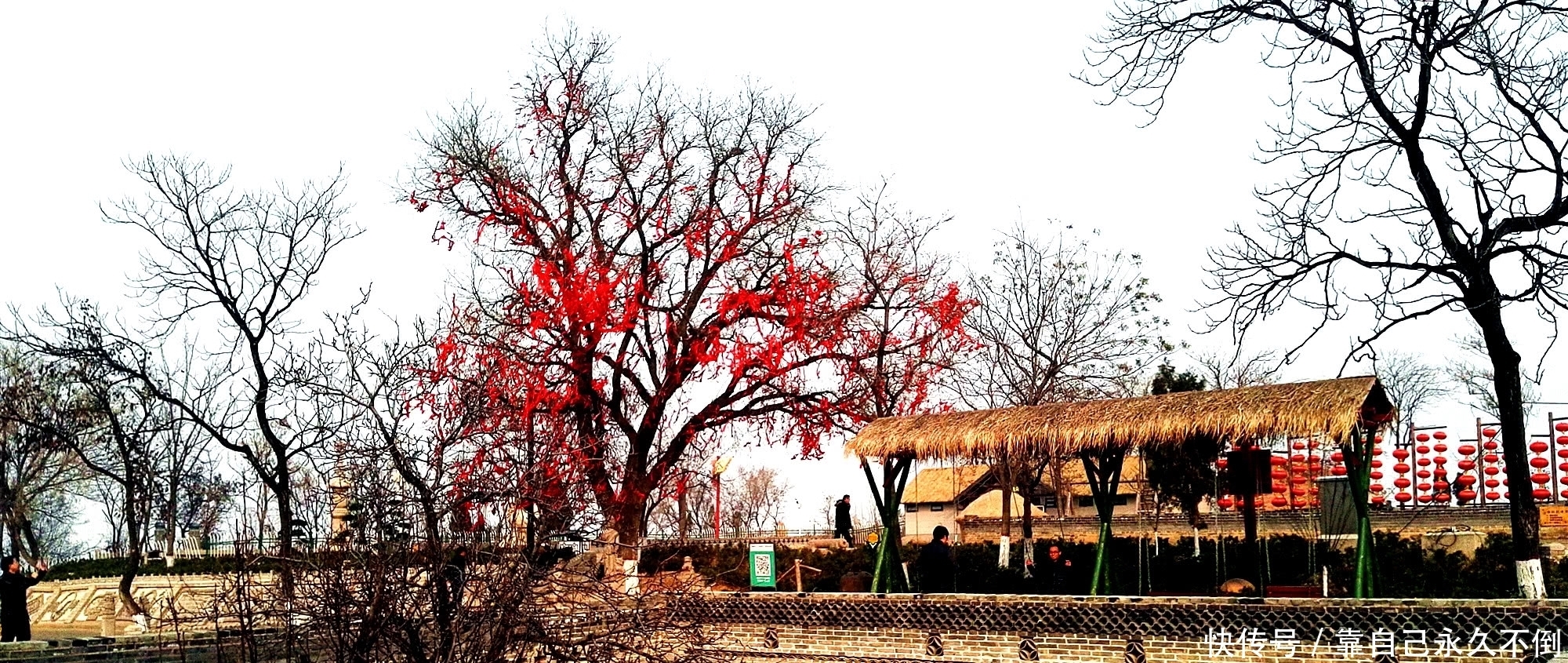 村子不见一间房,人都生活在地下,这是中国最具特色的民居建筑!