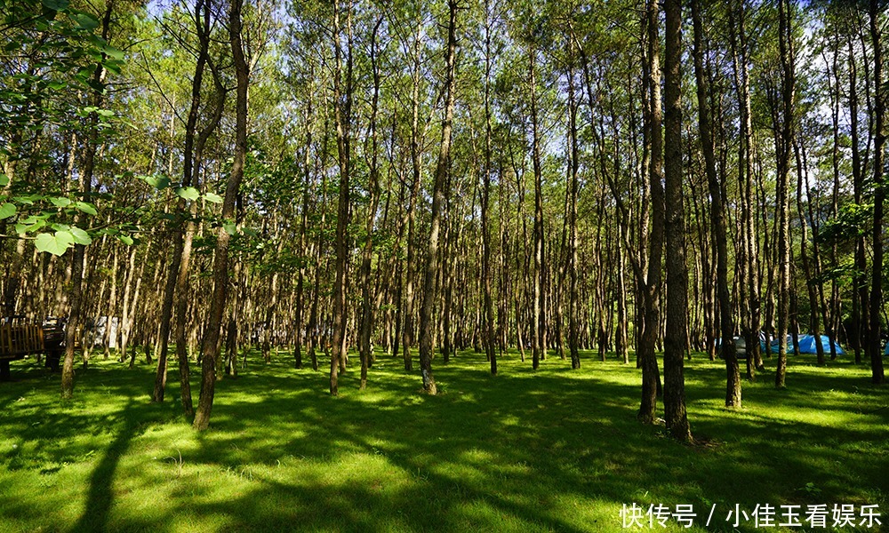 永嘉书院—快活林