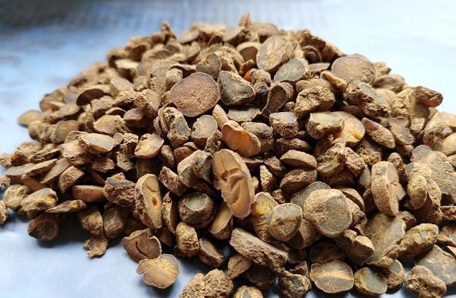 一身|此物是中医里面的专用“止痛药”,一身上下诸痛,服之皆可消