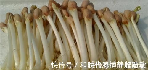 花生芽|女性不妨多吃3种食物,营养丰富、延缓衰老,早吃早健康!