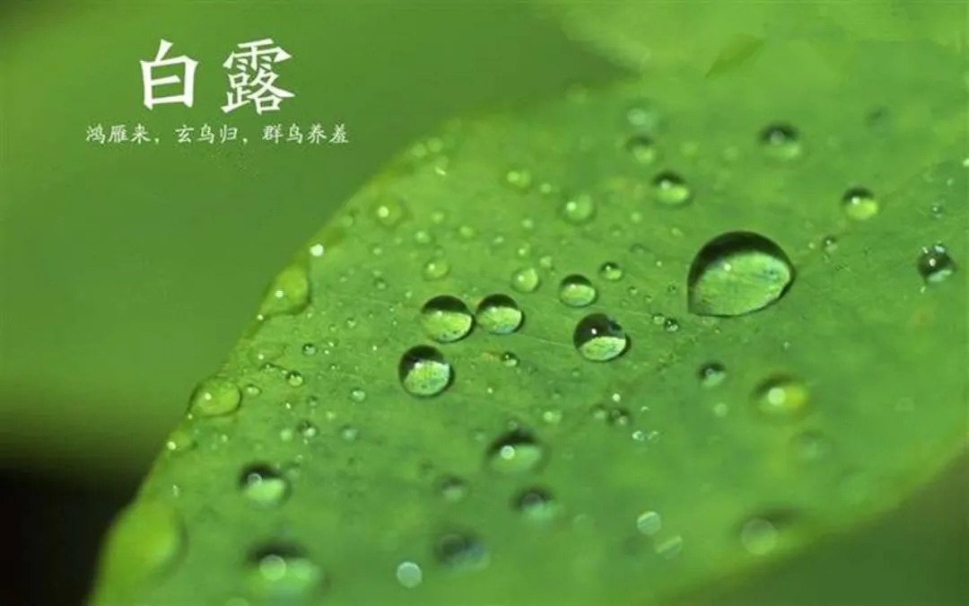 桃花星|辛丑年丁酉月——月运总概