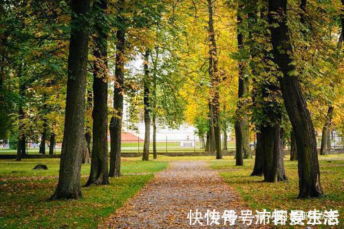 阴历|阴历哪几天出生的孩子,智商高,一个比一个有前途,事业大成