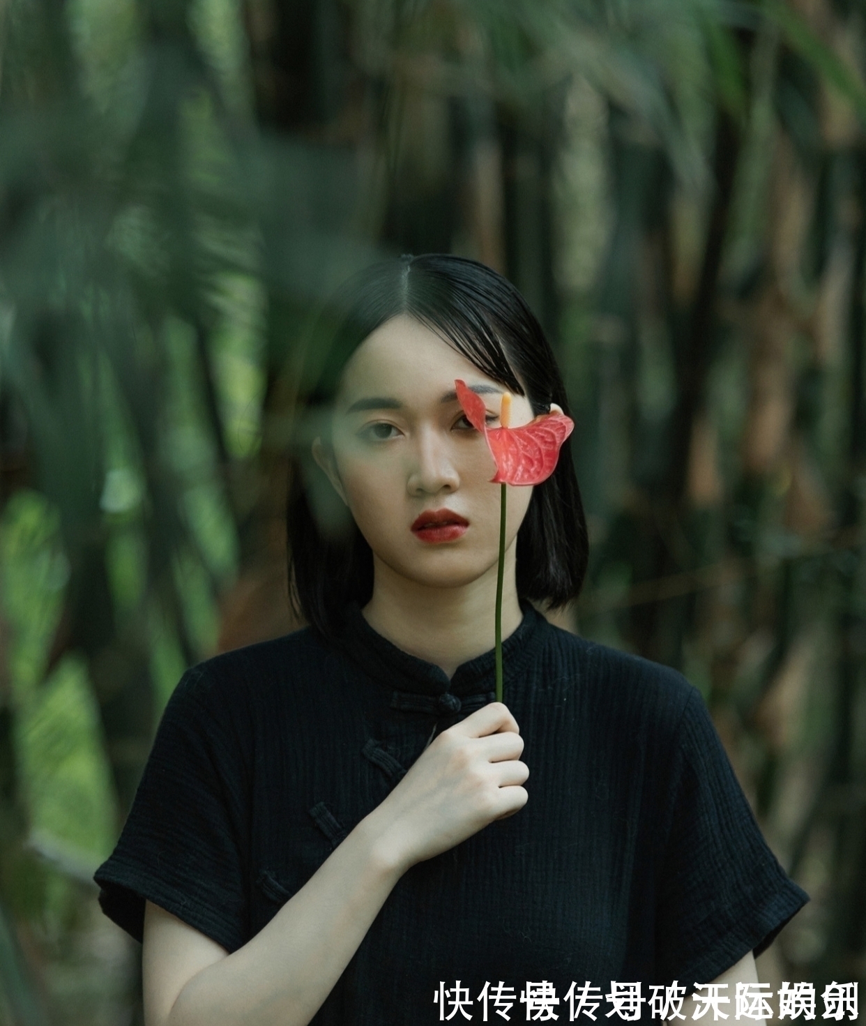 七夕&七言绝句与格律:风雨年华多梦幻,柴门无处不蓬蒿