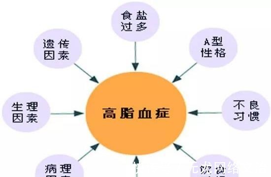 克星|高血脂“克星”公开,避免做这几件事,血管干净通畅