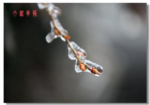 铅山|铅山葛仙山白雪皑皑，犹如冰雪童话世界