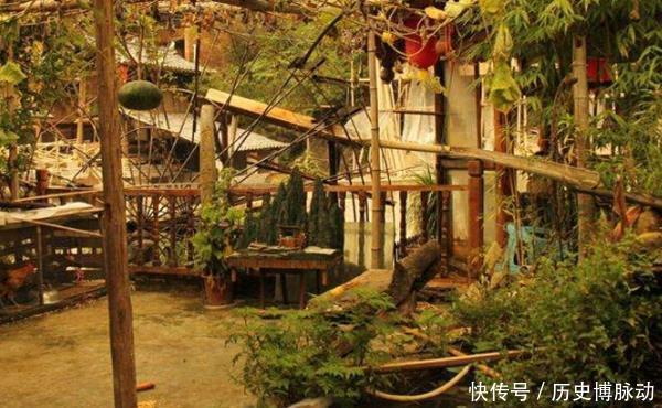 何意|俗语“门朝南子不寒,树通轩人丁散”,老祖宗的话是何意