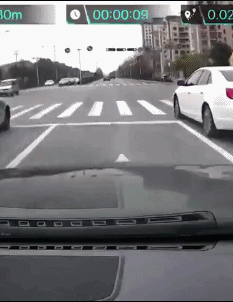 |搞笑GIF:别装了 我知道你就是故意的