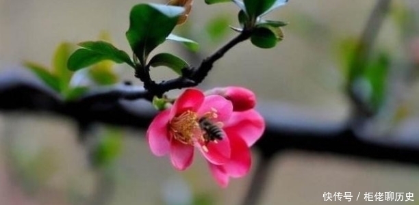 阁楼#同一题材,白居易和刘禹锡分别作诗,只因最后几句境界完全不同