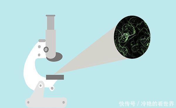 和宫颈|子宫肌瘤离宫颈癌有多远?抽空做2项检查,有利判断病情