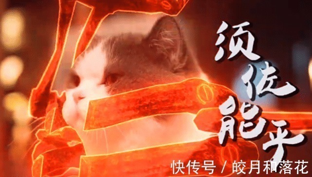 须佐能乎|“火影猫”神还原“鼬佐兄弟大战”,这难道不比《博人传》热血