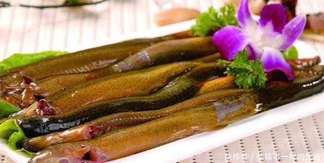 最让人难以忍受的4种鱼,罗非鱼上榜,图6只有印度人能接受