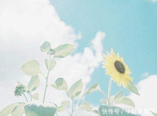 碎玉投珠|那些年惊艳了我们的小说结尾,“我在等风,等风热吻你”