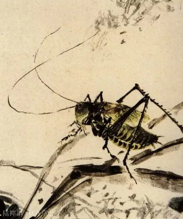 蝈蝈$国画技法图典——草虫篇:蝗虫 蚂蚱 蝈蝈 螽斯 螳螂 蟋蟀