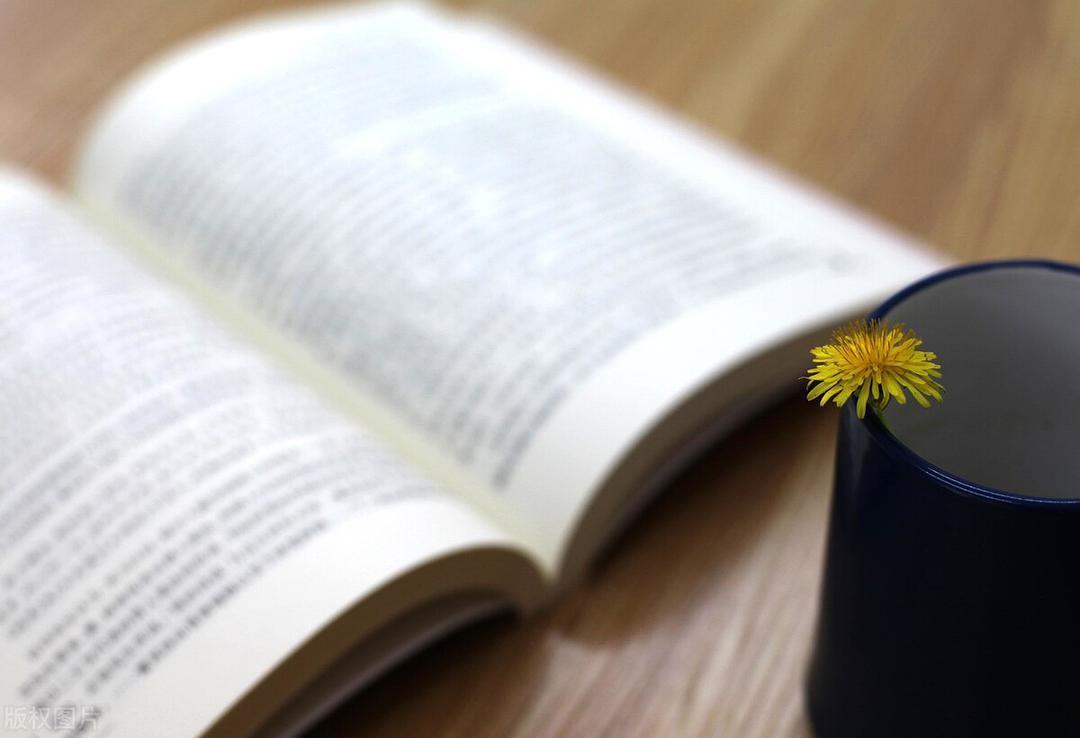 书籍#读书变现:为读书投资,为自我增值