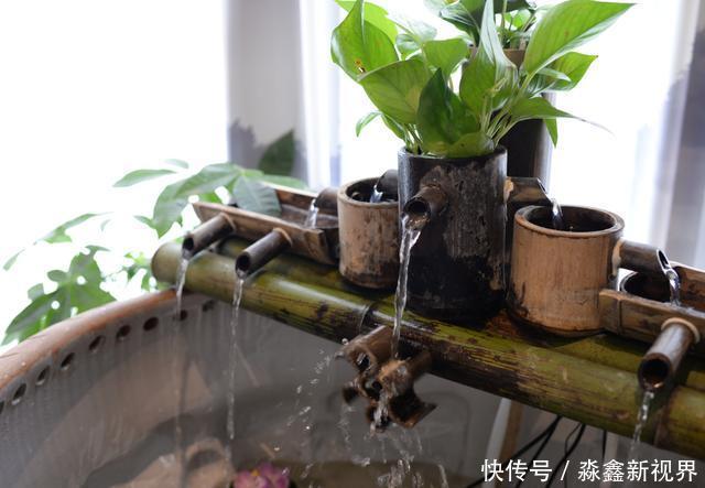 美感|水墨丹青当传统湘菜的烹饪技法,融合了艺术美感之后丨星·餐厅