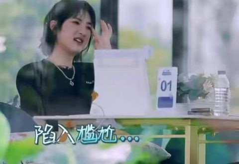 丁真|《中餐厅5》口碑暴跌,嘉宾尴尬相处,像大街上凑来的