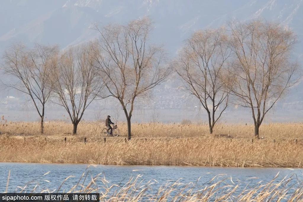 细“鼠”点滴：极不平凡的2020年，看完竟然默默流泪了！