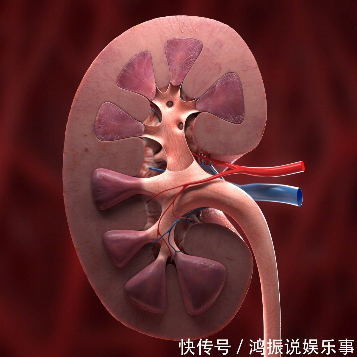 男人|50岁是寿命生死关!出现5个信号,很遗憾:寿命变短的表现