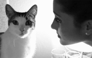 |搞笑动图:小家伙,躺着卖萌噶哈呢!