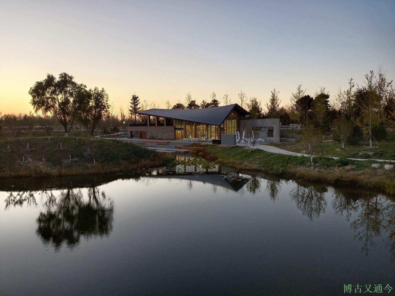 老年|温榆河公园示范区东园,园内的金色光芒撒在大地上