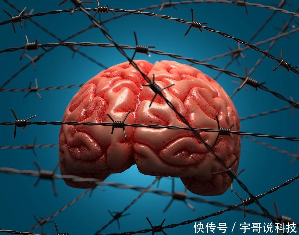 灵光|老年人大脑健康测试:10秒内找到图片中的狼,大脑健康而且很灵光