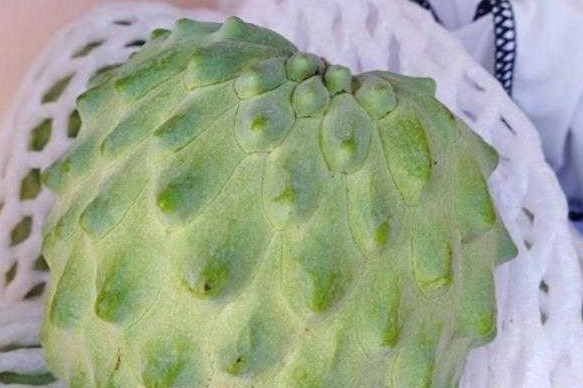 丰肌美肤|女性不想显老，常吃的食物，滋养子宫，丰肌美肤，帮助清肠油