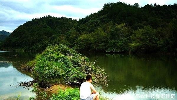 钓友|别人上鱼你不上鱼，埋怨根本没用，运用这3个技巧，钓到鱼不难