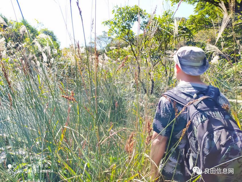 高峰|探寻揭西第一高峰附近的仙人塘古庵遗址
