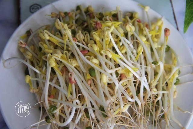 这个发豆芽小秘方,姥姥用了半辈子,又粗壮又脆嫩,3天就能吃