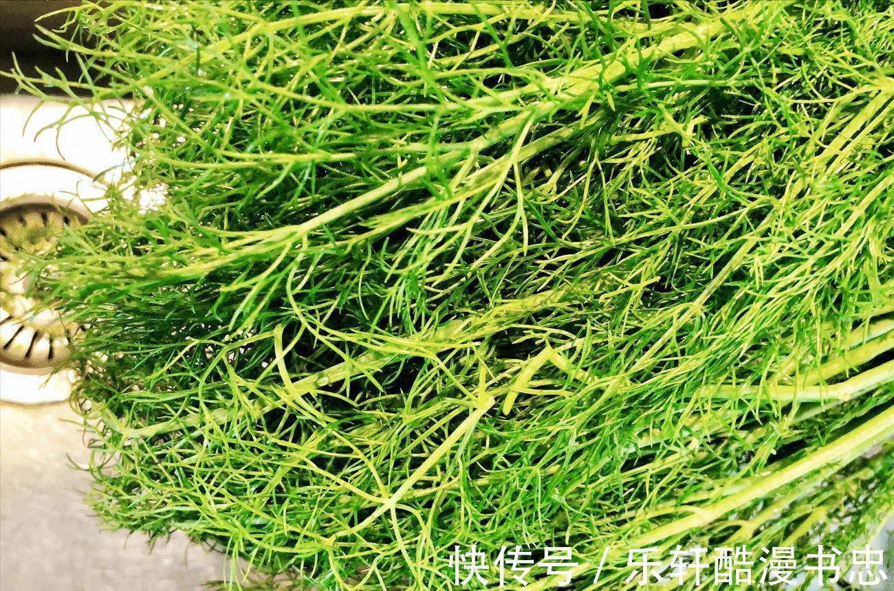 多汁|头伏包饺子,还得用这个菜,皮薄馅大,鲜嫩多汁,老人孩子都爱吃