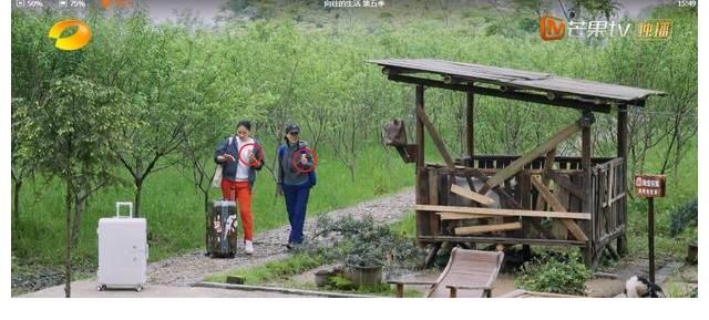奧特曼|《向往的生活》來客人，本以為會是勞動力，沒想到是兩個吃貨