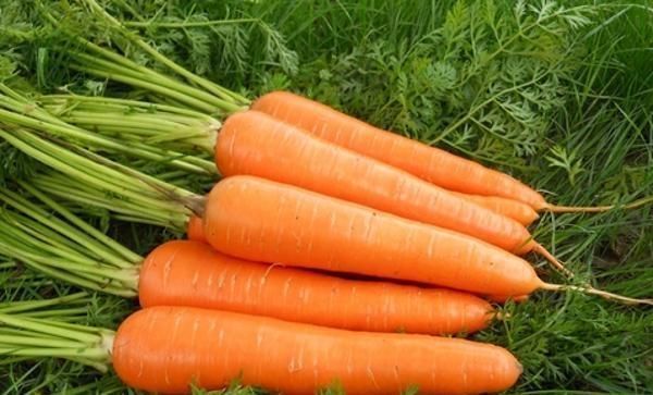 健康|常吃胡萝卜的人注意, 好处多多,如此吃影响健康,早知早受益