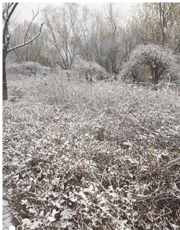 美景|情报站｜下雪啦！山东雪后各地的美景您知道什么样吗？