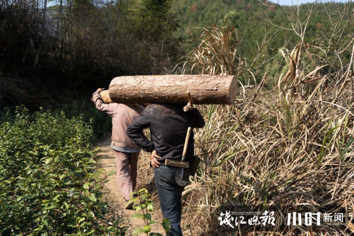 客房|在千岛湖畔 这支700人队伍守护着绿水青山