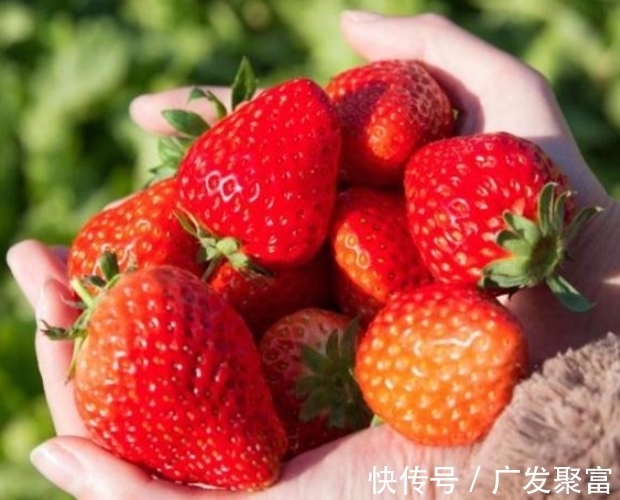 香蕉|身边的“天然叶酸”被发现,准妈妈隔三差五吃,促进孩子大脑发育