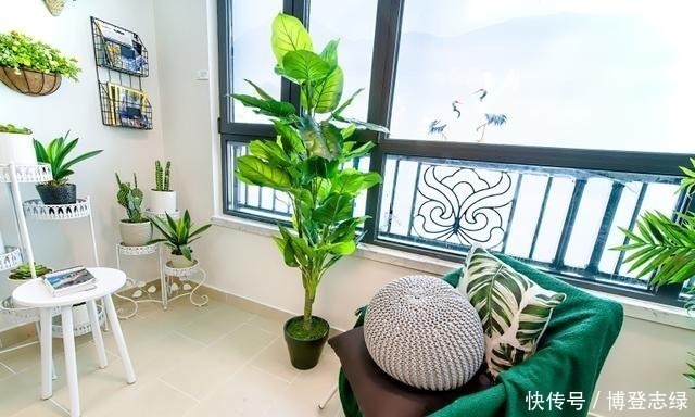 落地窗|楼层才是房子升值的关键，这几层买了就能赚30%，大家都疯抢！
