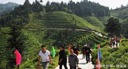 中国空气最好的地方，距离福建非常近，到那游玩就不愿意离开