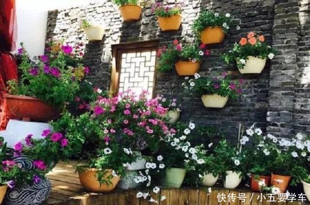 家中有花,这三种果皮就别再“浪费”,简单几步,即可制成养花料!